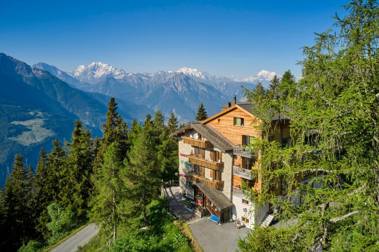 Hotel Waldhaus Bettmeralp Εξωτερικό φωτογραφία